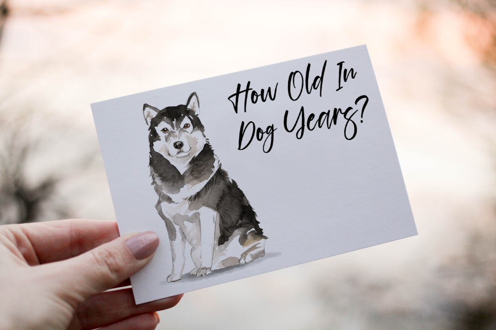 Malamute Dog Birthday Card, Dog Birthday Card, Personalized Card